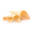 HOUTPAPIER CONES (BERKEN) 8CM, 200STUKS