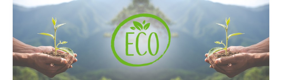 8a_ECO